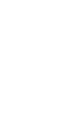 Sketch of Helmetted Hornbill