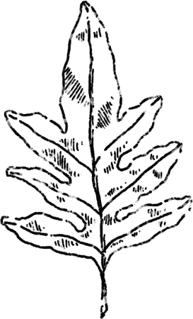 TPCP_Layer 6 copy 5