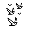 Website Assets-14