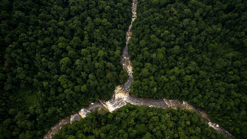 Maliau Basin: Trekking Sabah's Lost World